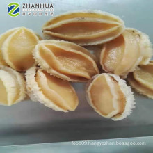 Frozen Abalone Farmed Good quality